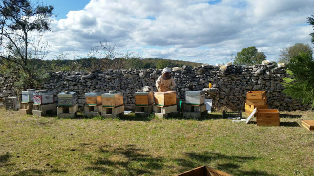 Apiculteur rucher de veyssou miellerie du causse miel du lot